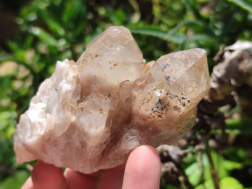 Natural Smokey Phantom Quartz Clusters and Crystals x 13 From Luena, Congo