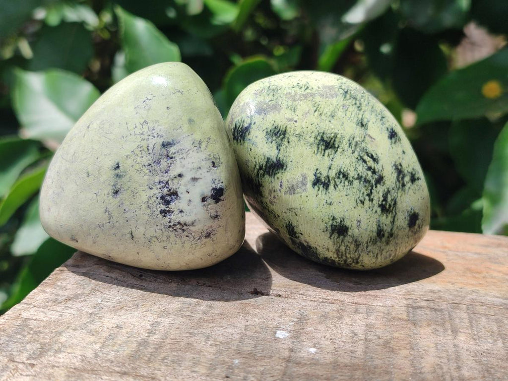 Polished Leopard Free Forms x 6 From Zimbabwe