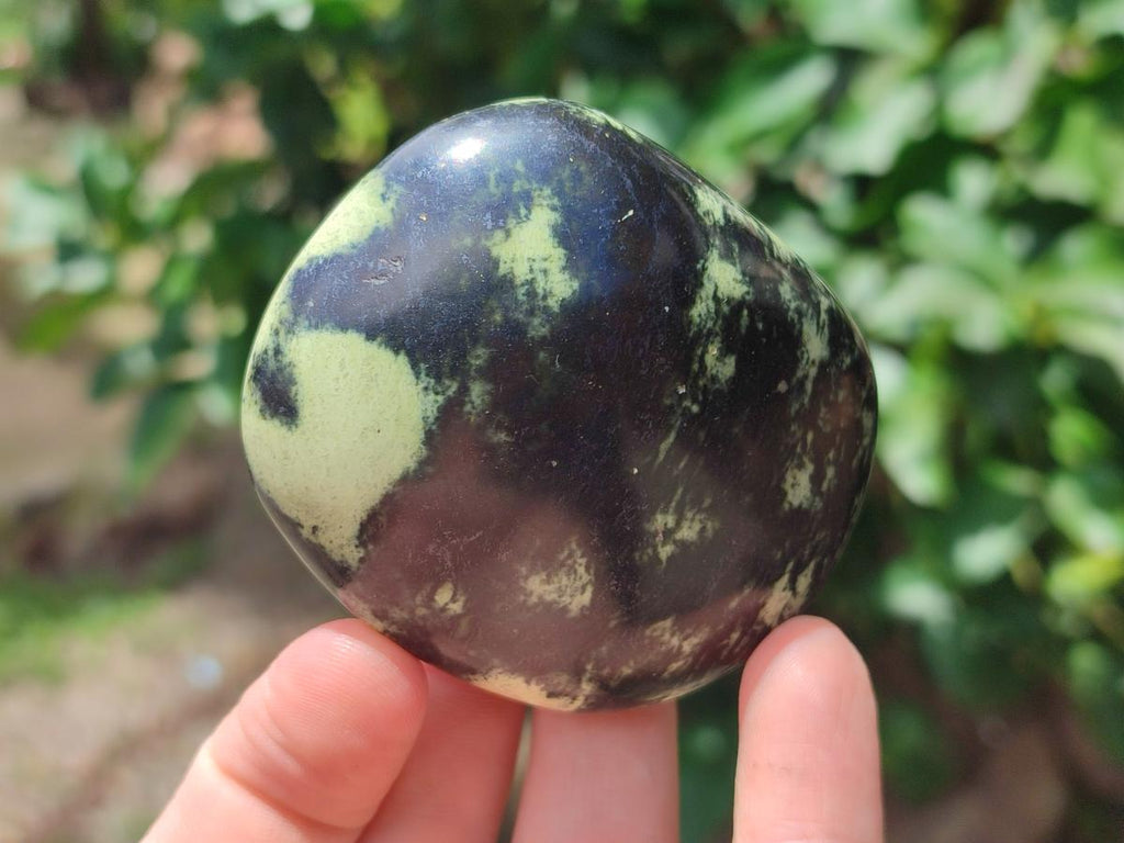 Polished Leopard Free Forms x 6 From Zimbabwe