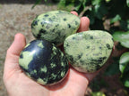 Polished Leopard Free Forms x 6 From Zimbabwe
