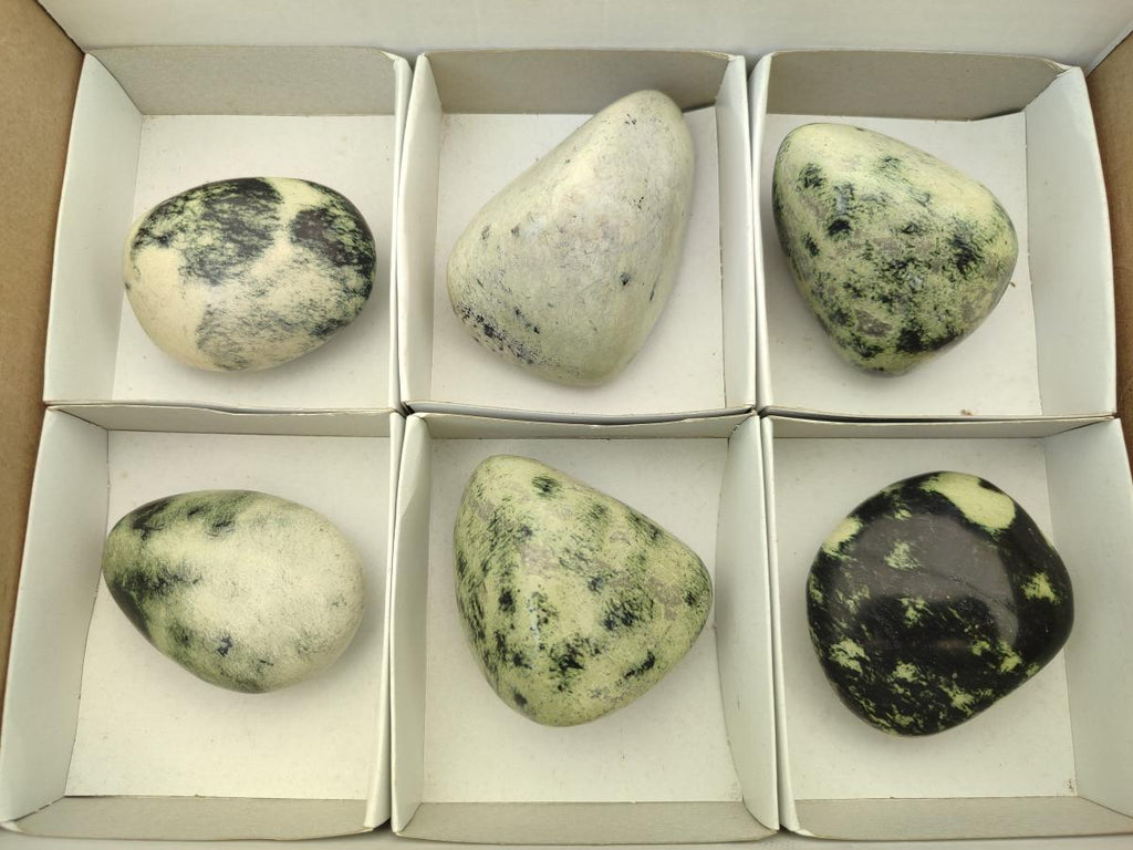 Polished Leopard Free Forms x 6 From Zimbabwe