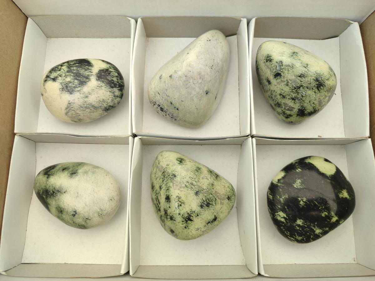 Polished Leopard Free Forms x 6 From Zimbabwe