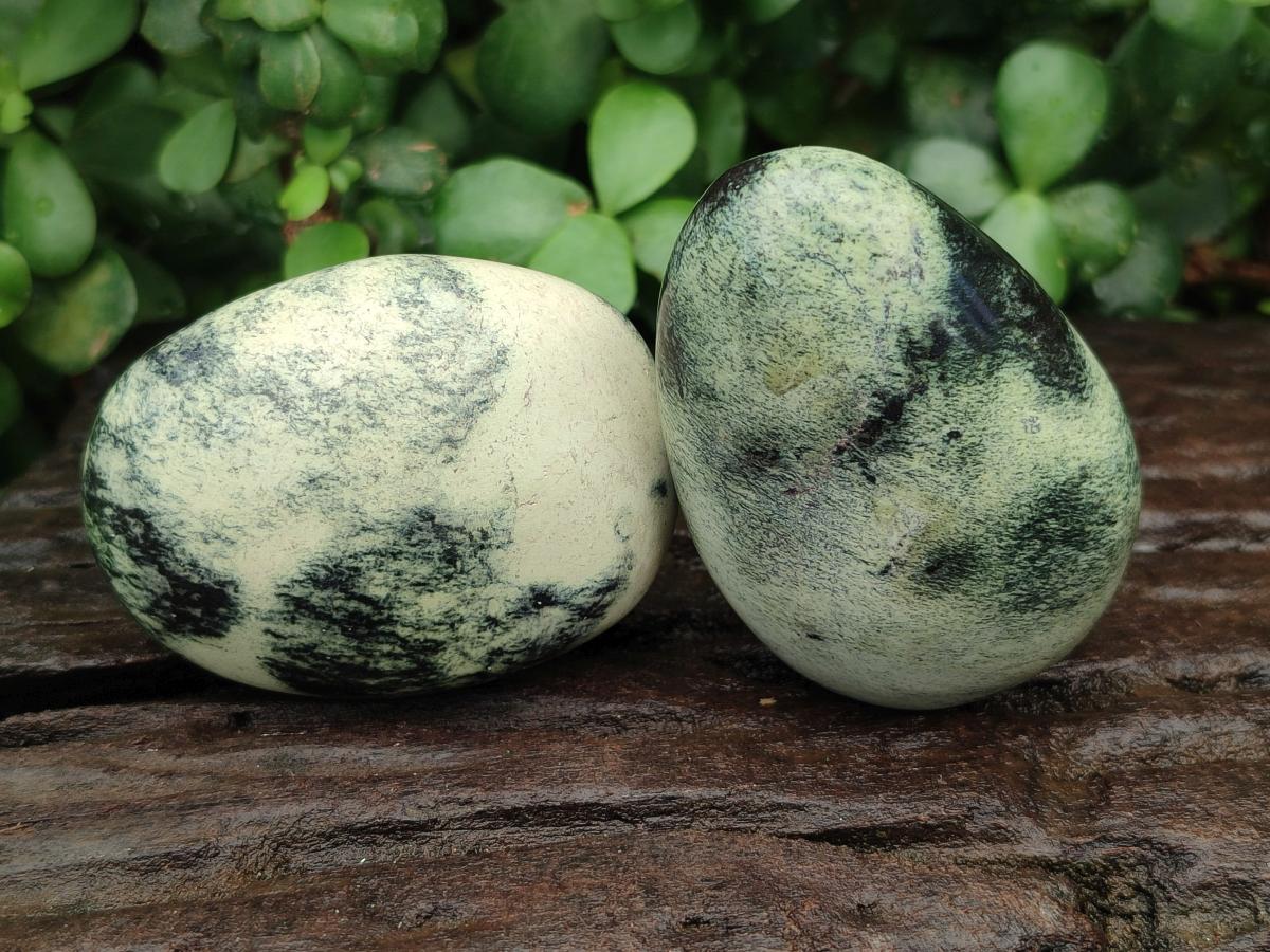 Polished Leopard Free Forms x 6 From Zimbabwe