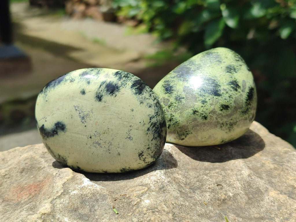 Polished Leopard Free Forms x 6 From Zimbabwe