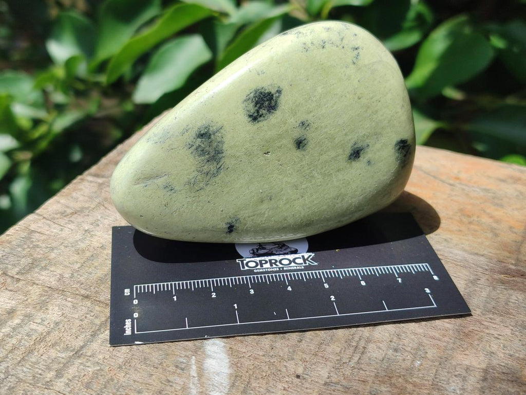 Polished Leopard Free Forms x 6 From Zimbabwe