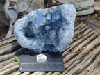 Natural Blue Celestite Crystal Cluster Specimens x 2 From Sakoany, Madagascar