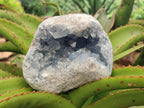 Natural Blue Celestite Crystal Cluster Specimens x 2 From Sakoany, Madagascar