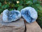 Natural Blue Celestite Crystal Cluster Specimens x 2 From Sakoany, Madagascar