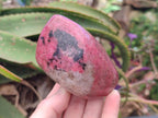 Polished Red Rhodonite Free Forms x 4 From Rhusinga, Zimbabwe