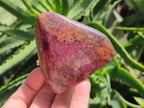 Polished Red Rhodonite Free Forms x 4 From Rhusinga, Zimbabwe