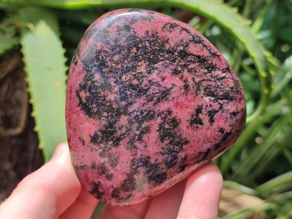 Polished Red Rhodonite Free Forms x 4 From Rhusinga, Zimbabwe
