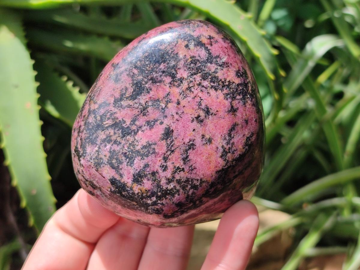 Polished Red Rhodonite Free Forms x 4 From Rhusinga, Zimbabwe