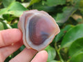 Polished One Side Red Shashe River Agate Nodules x 20 From Shashe River, Zimbabwe