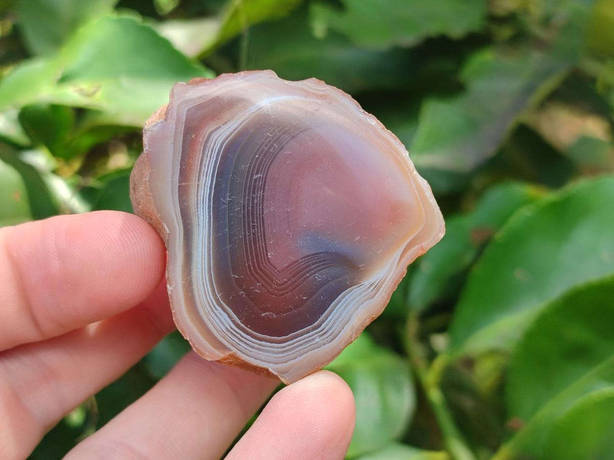 Polished One Side Red Shashe River Agate Nodules x 20 From Shashe River, Zimbabwe