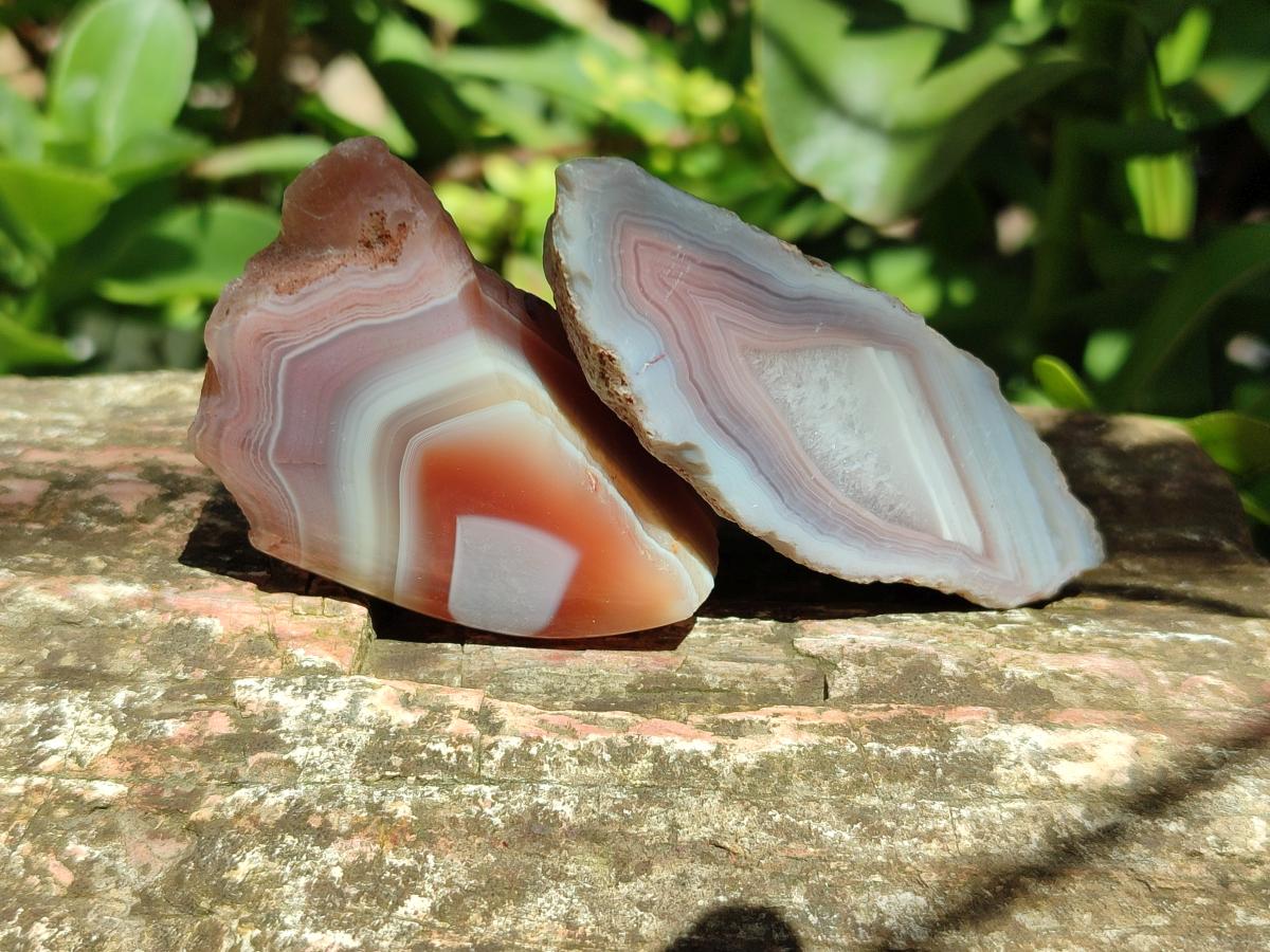 Polished One Side Red Shashe River Agate Nodules x 20 From Shashe River, Zimbabwe