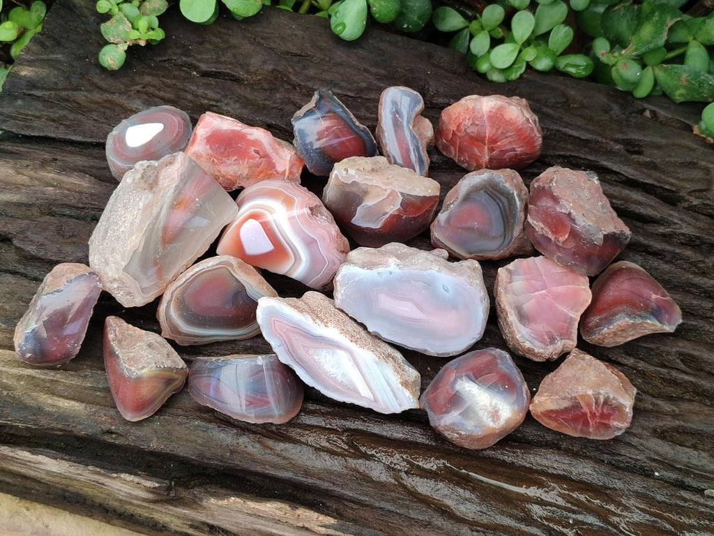 Polished One Side Red Shashe River Agate Nodules x 20 From Shashe River, Zimbabwe