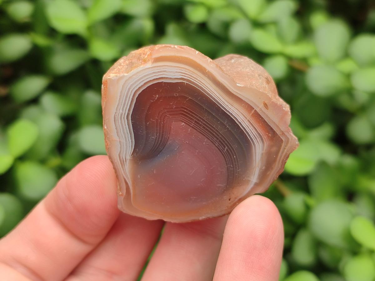 Polished One Side Red Shashe River Agate Nodules x 20 From Shashe River, Zimbabwe