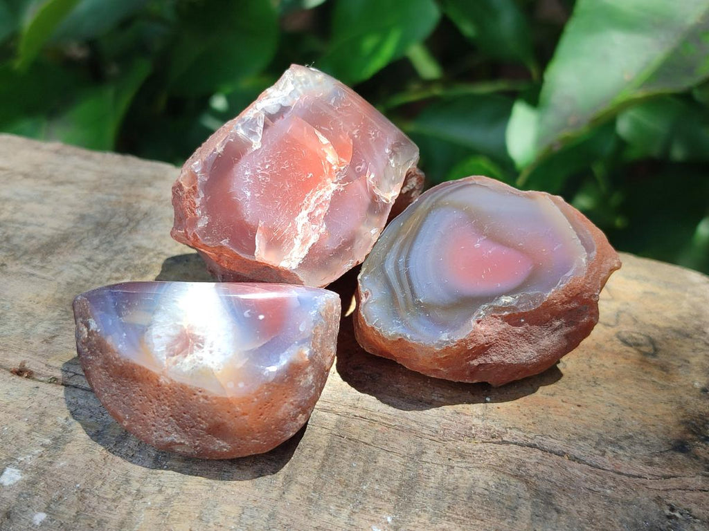 Polished One Side Red Shashe River Agate Nodules x 20 From Shashe River, Zimbabwe