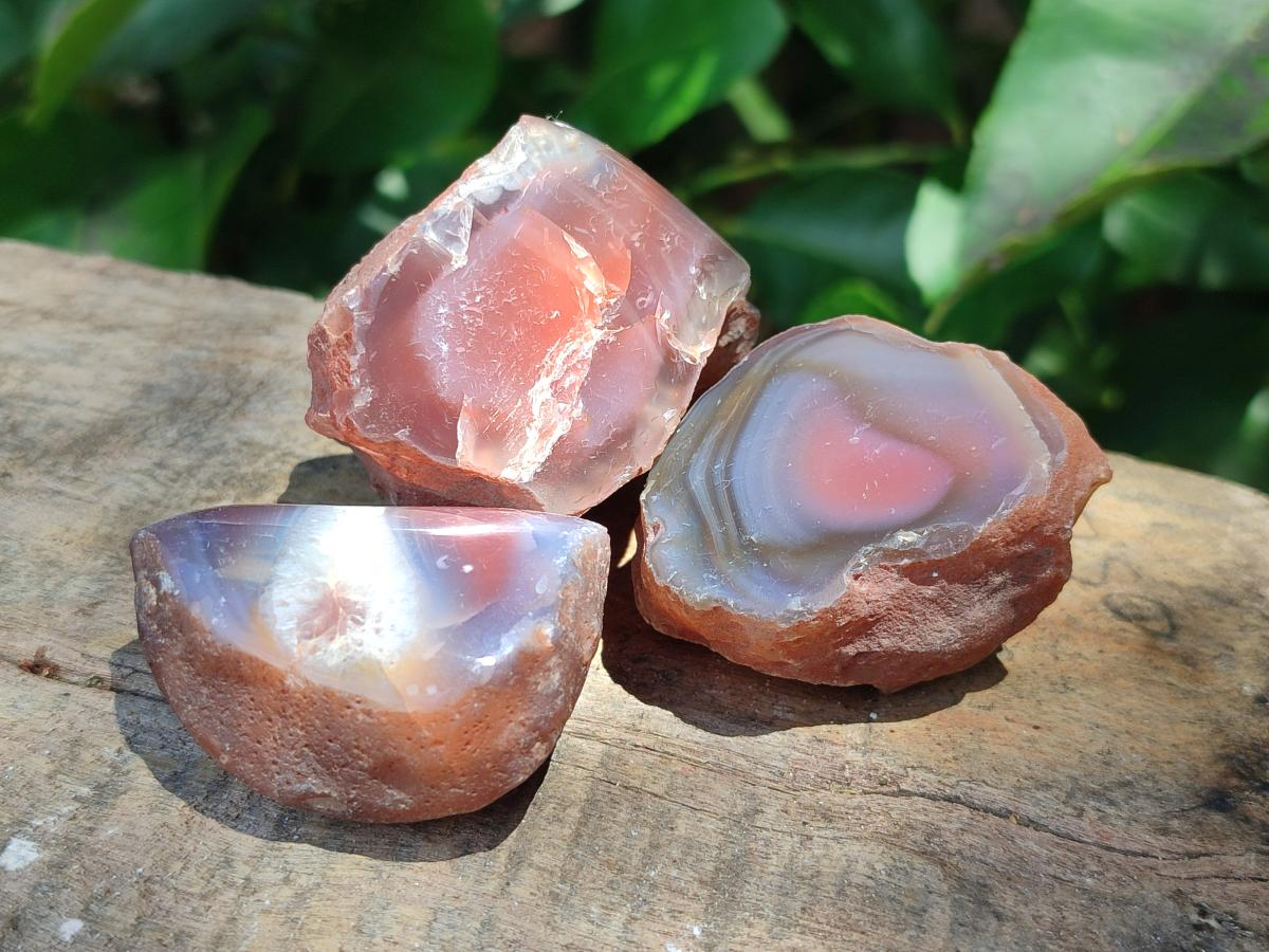 Polished One Side Red Shashe River Agate Nodules x 20 From Shashe River, Zimbabwe