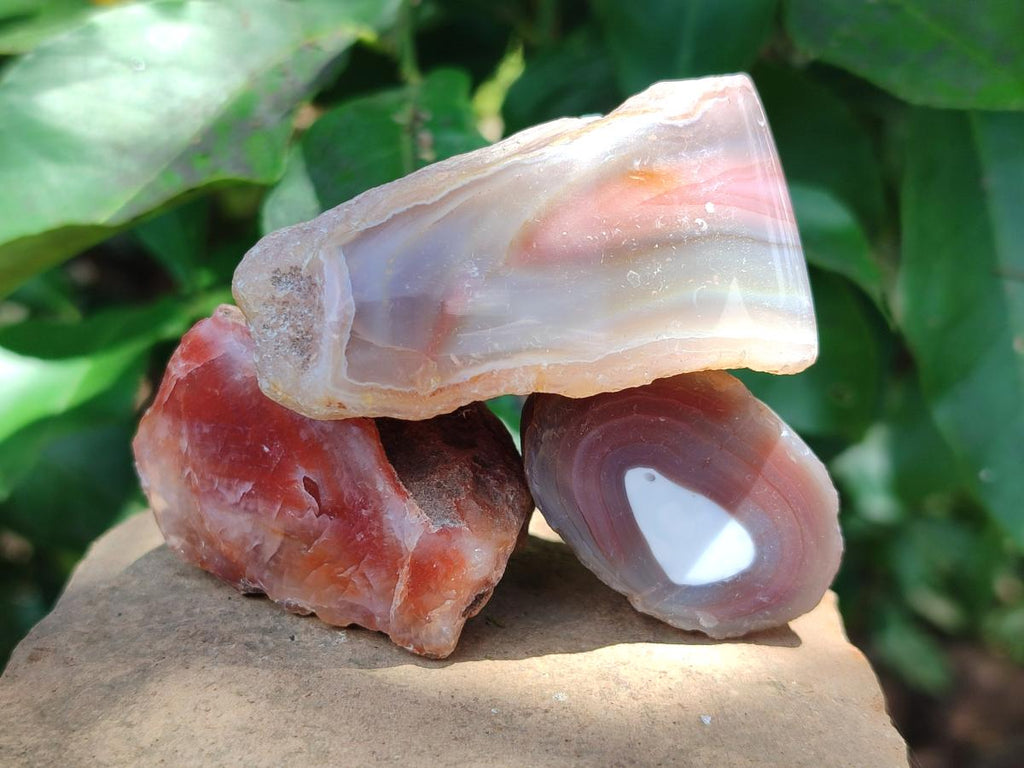 Polished One Side Red Shashe River Agate Nodules x 20 From Shashe River, Zimbabwe