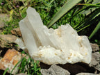 Natural Mixed Quartz Crystal Clusters x 3 From Madagascar