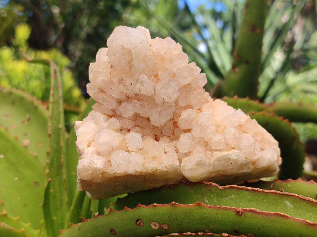 Natural Mixed Quartz Crystal Clusters x 3 From Madagascar