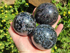 Polished Gabbro 'Merlinite' Spheres x 4 From Ambatofinandrahana, Madagascar