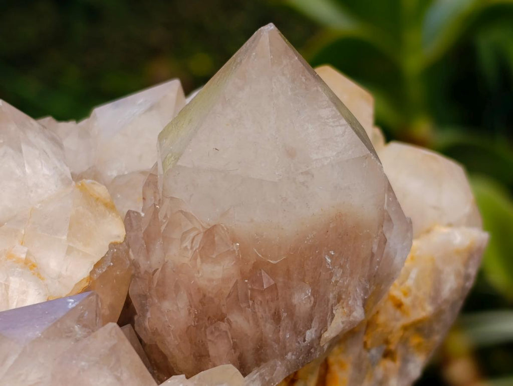 Natural XL White Phantom Cascading Smokey Luena Quartz Cluster x 1  From Luena, Congo