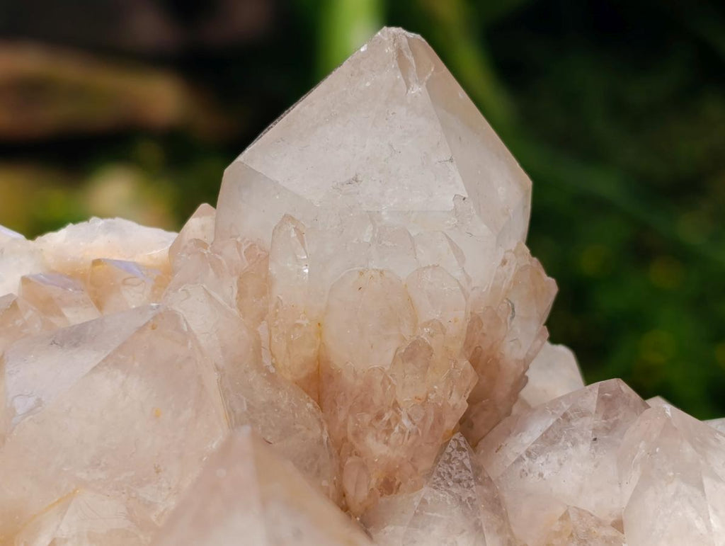 Natural XL White Phantom Cascading Smokey Luena Quartz Cluster x 1  From Luena, Congo