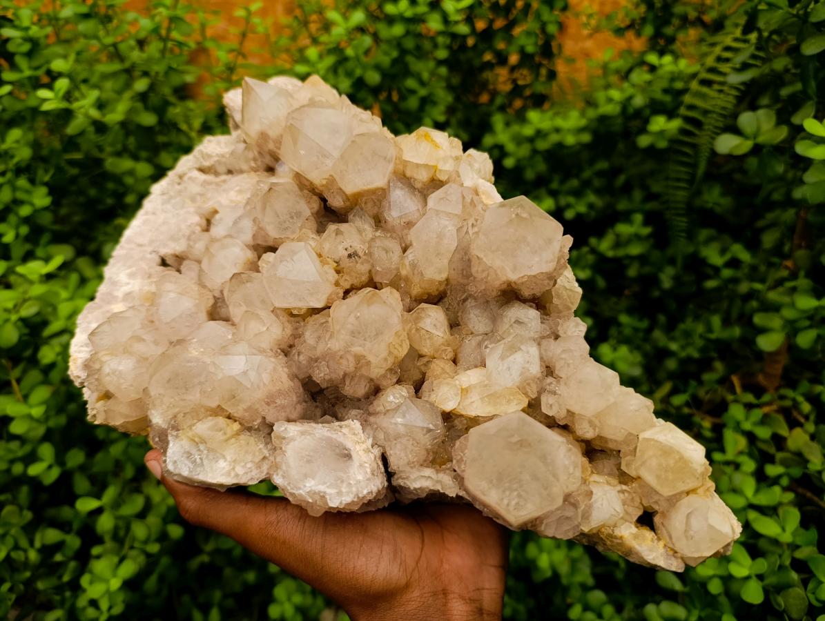 Natural XL White Phantom Cascading Smokey Luena Quartz Cluster x 1  From Luena, Congo