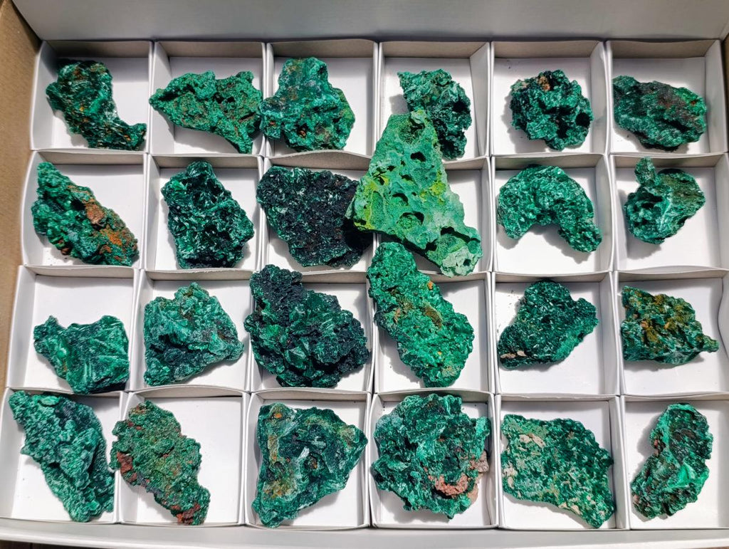 Natural Silky Malachite Specimens x 24 From Kasompe, Congo