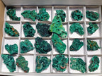 Natural Silky Malachite Specimens x 24 From Kasompe, Congo