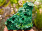 Natural Silky Malachite Specimens x 24 From Kasompe, Congo