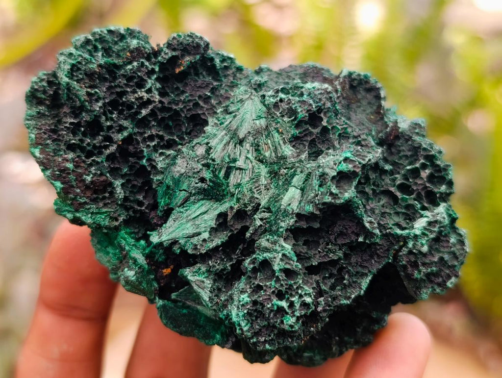 Natural Silky Malachite Specimens x 24 From Kasompe, Congo