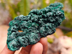 Natural Silky Malachite Specimens x 24 From Kasompe, Congo