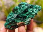 Natural Silky Malachite Specimens x 24 From Kasompe, Congo