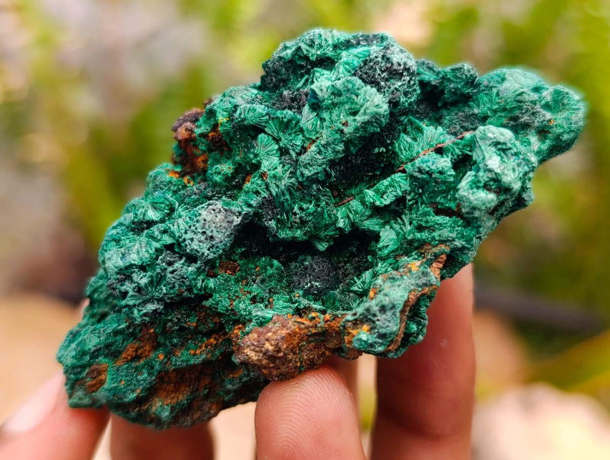 Natural Silky Malachite Specimens x 24 From Kasompe, Congo