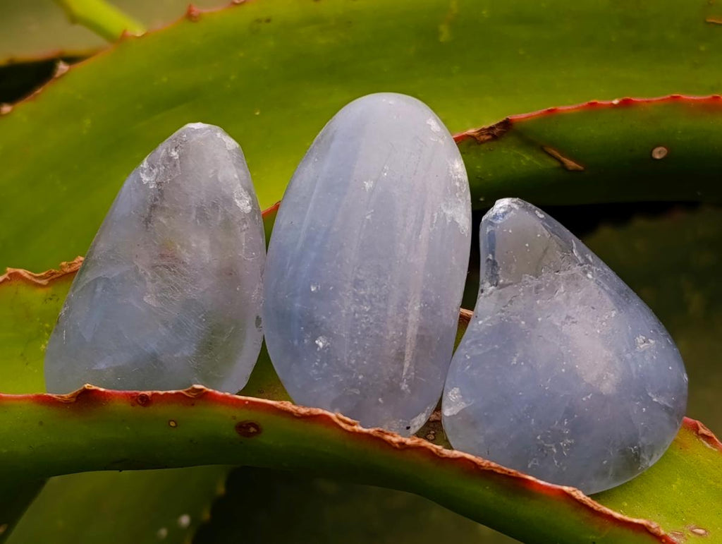 Polished Gemmy Blue Celestite Free Forms x 35 From Sakoany, Madagascar