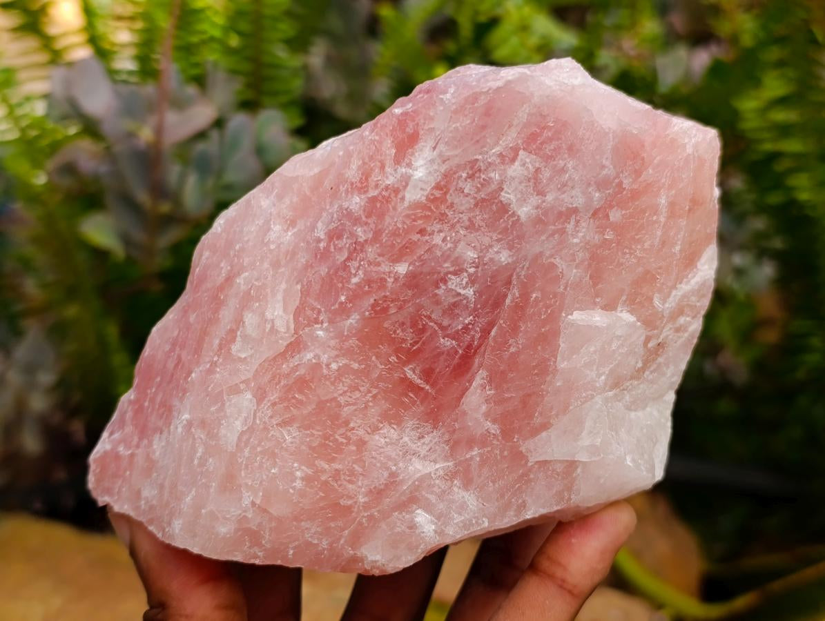 Natural Cobbed Rose Quartz Specimens x 5 From Northern Cape, South Africa