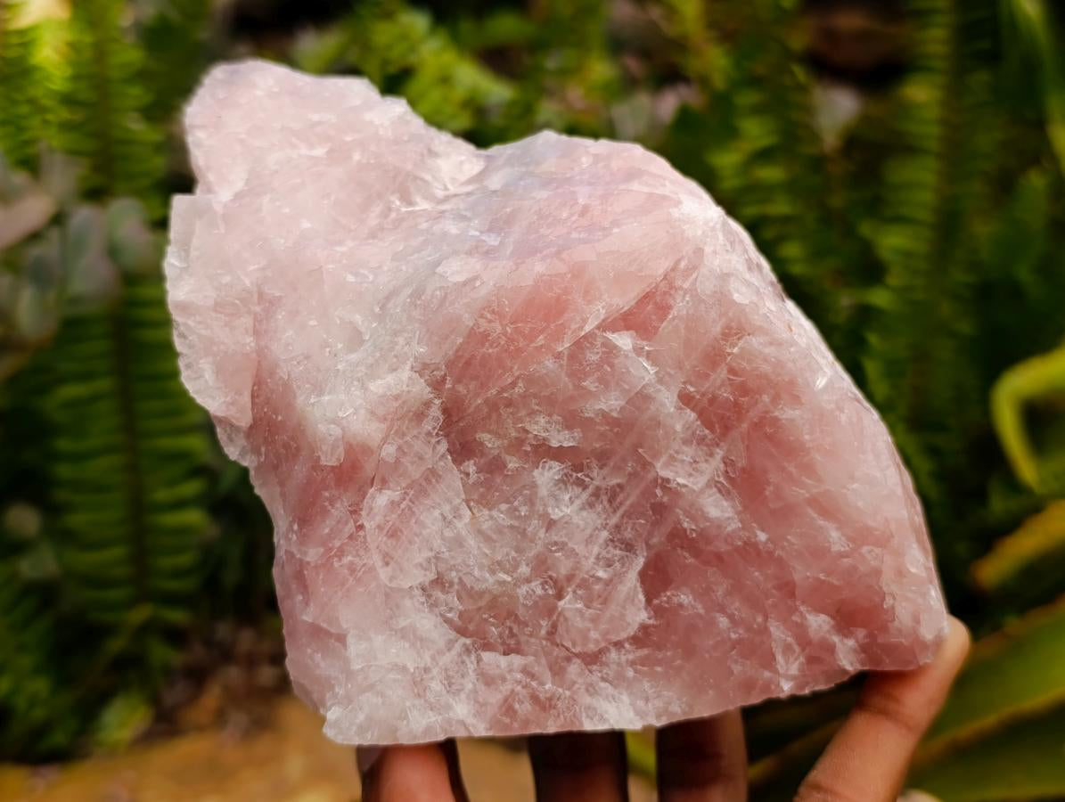Natural Cobbed Rose Quartz Specimens x 5 From Northern Cape, South Africa