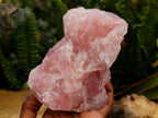 Natural Cobbed Rose Quartz Specimens x 5 From Northern Cape, South Africa