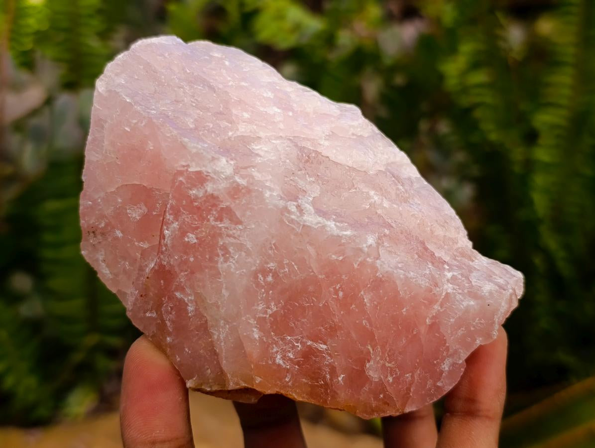 Natural Cobbed Rose Quartz Specimens x 5 From Northern Cape, South Africa