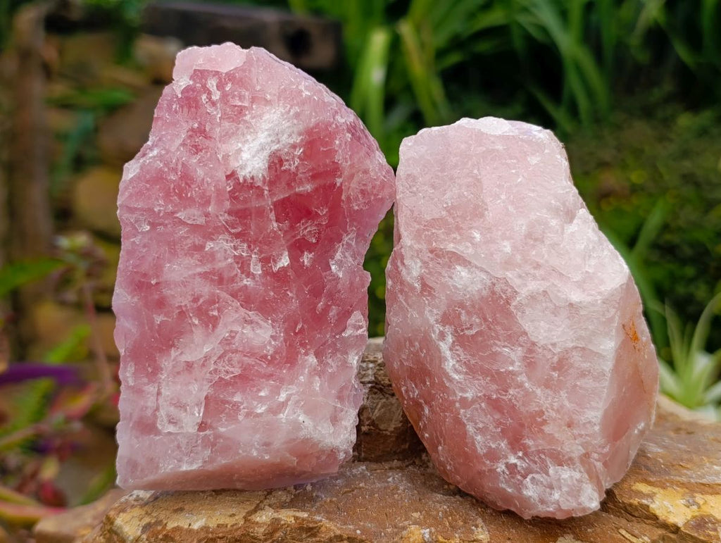 Natural Cobbed Rose Quartz Specimens x 5 From Northern Cape, South Africa