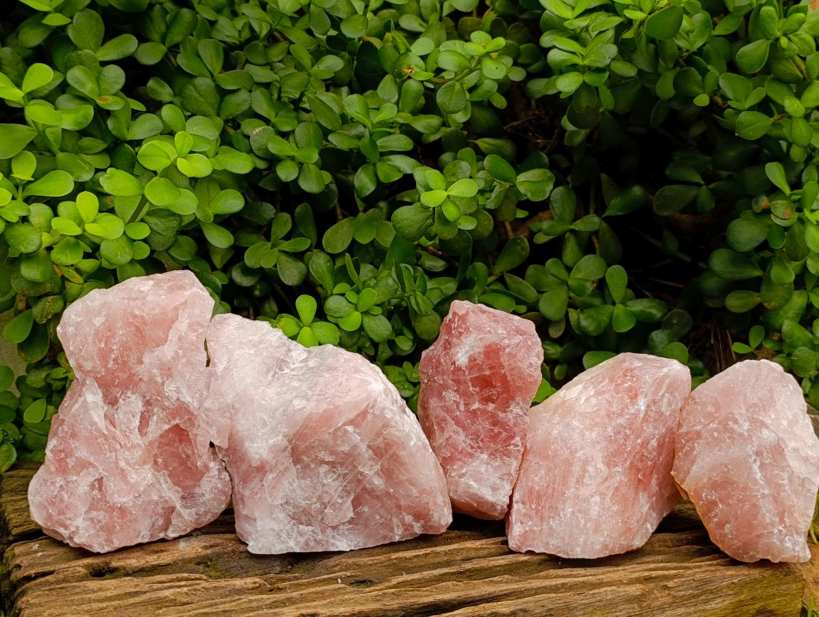 Natural Cobbed Rose Quartz Specimens x 5 From Northern Cape, South Africa