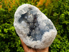 Natural Blue Celestite Geode Specimen x 1 From Sakoany, Madagascar