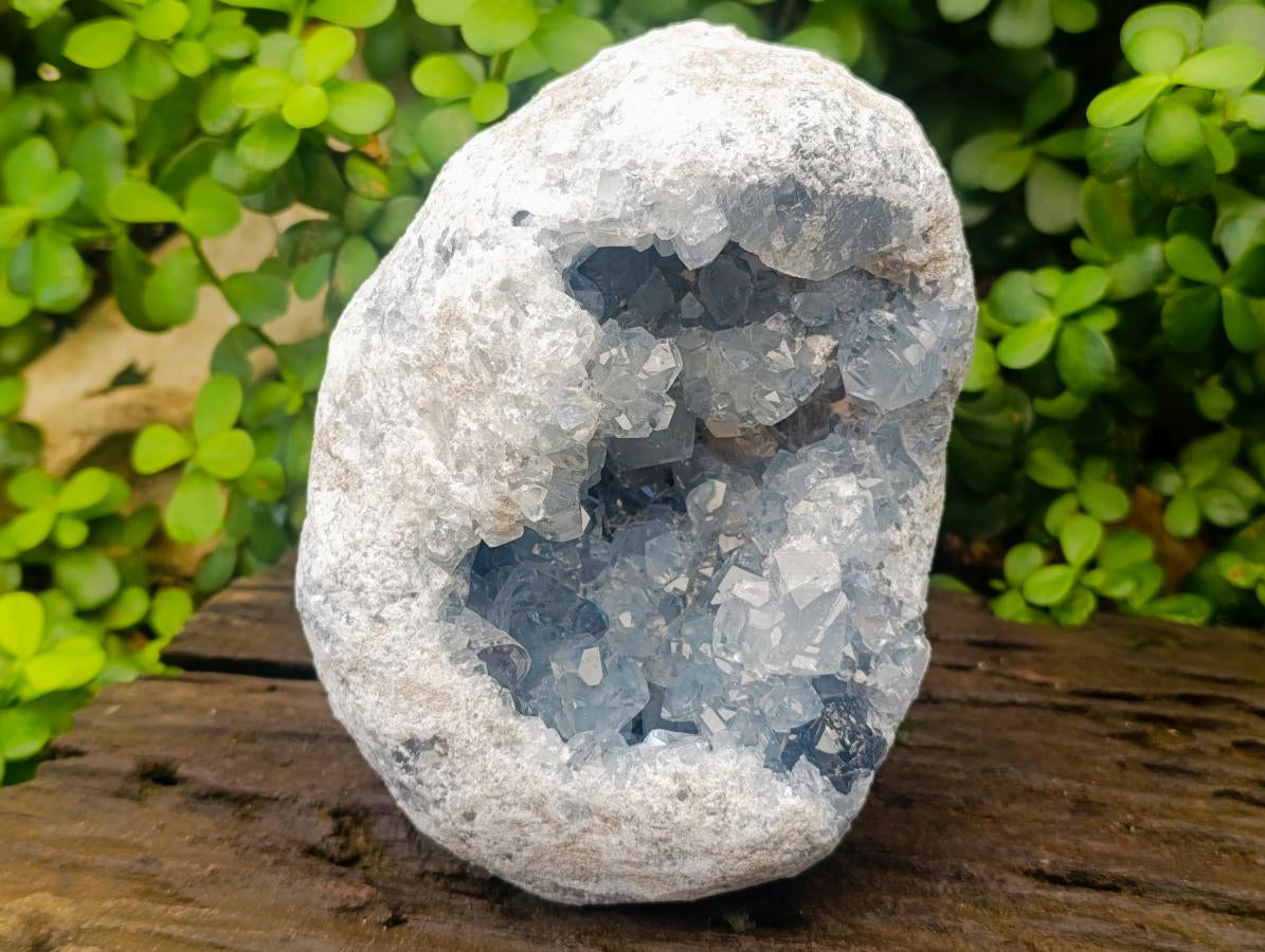 Natural Blue Celestite Geode Specimen x 1 From Sakoany, Madagascar