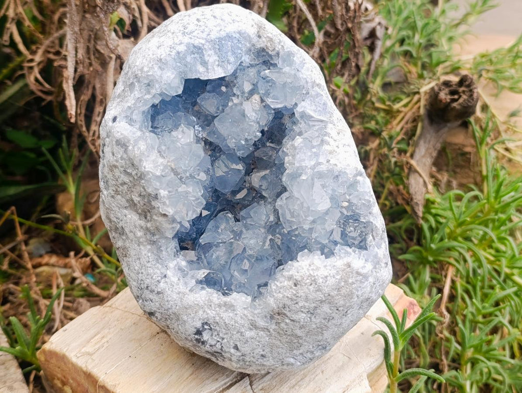 Natural Blue Celestite Geode Specimen x 1 From Sakoany, Madagascar