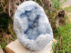 Natural Blue Celestite Geode Specimen x 1 From Sakoany, Madagascar