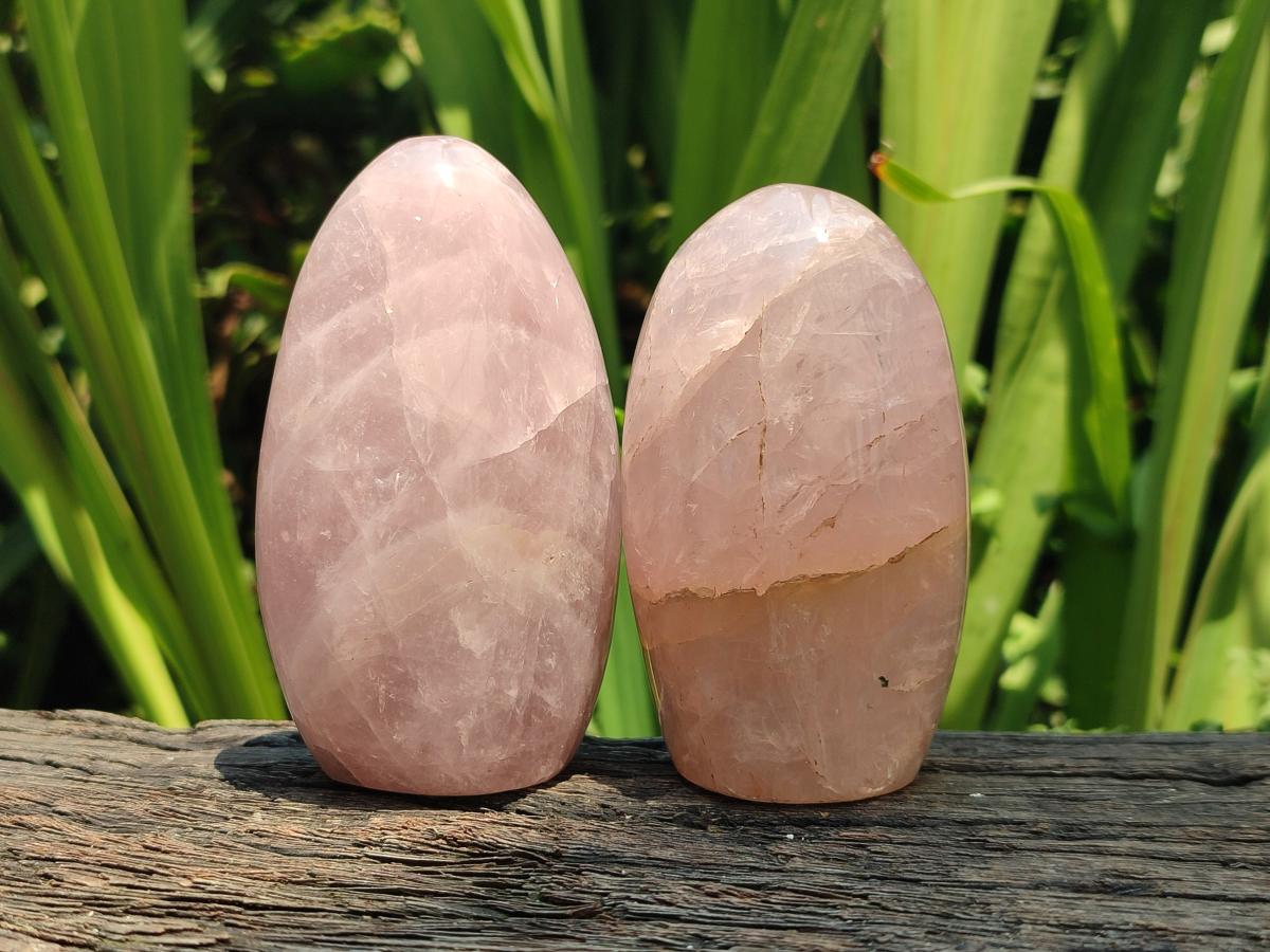 Polished Rose Quartz Points and Standing Free Forms x 6 From Madagascar