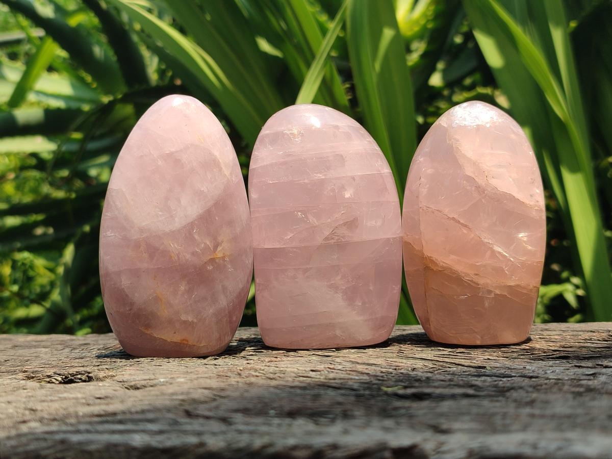 Polished Rose Quartz Points and Standing Free Forms x 6 From Madagascar